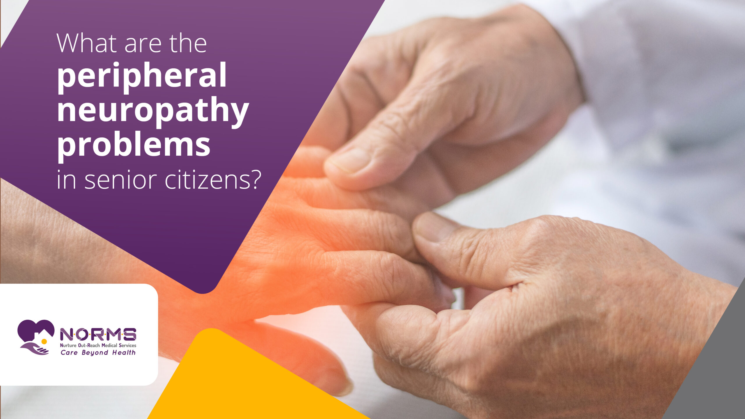 What are the peripheral neuropathy problems in senior adults?